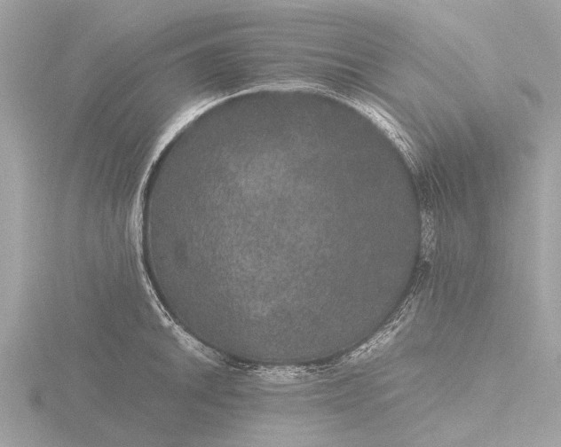 X0000116441046200912221520