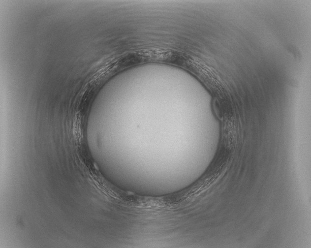 X0000116441058200912221520