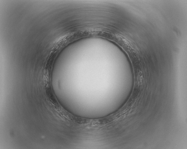 X0000116441062200912221520