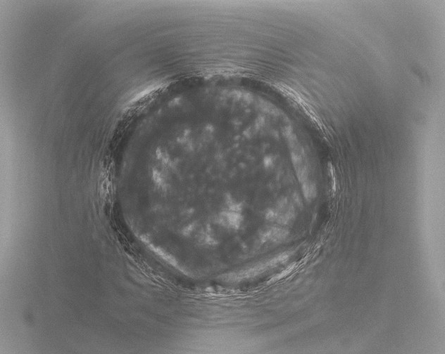 X0000116441063200912221520
