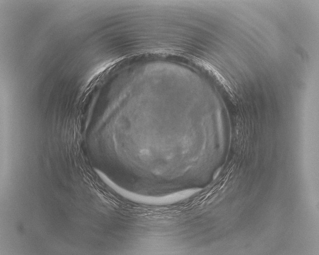 X0000116441064200912221520