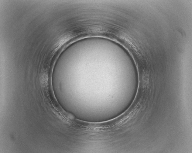 X0000116441065200912221520