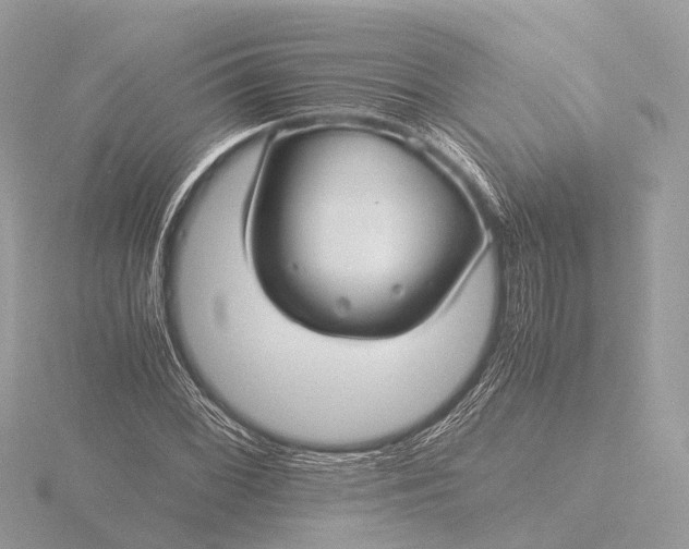 X0000116441068200912221520