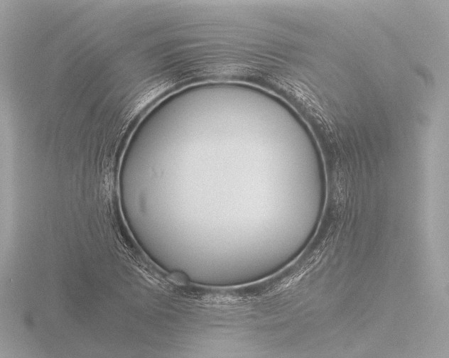 X0000116441073200912221520
