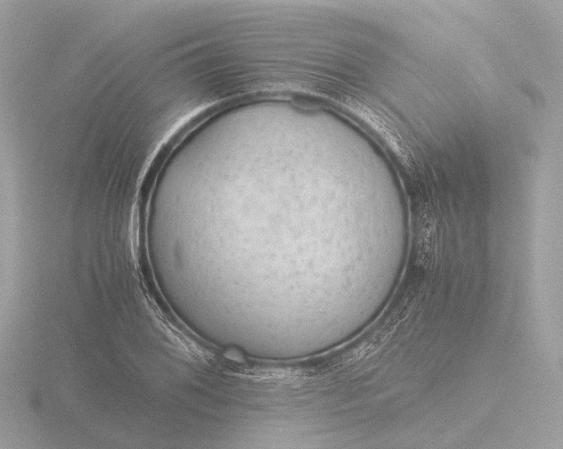 X0000116441076200912221520
