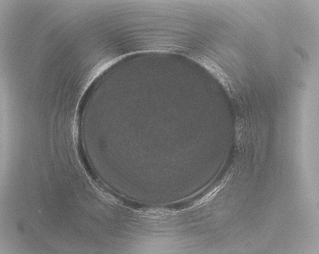 X0000116441077200912221520