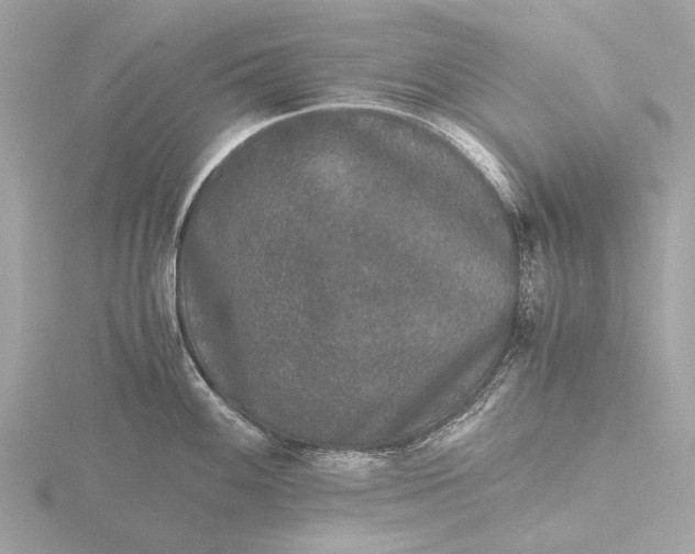 X0000116441100200912221519