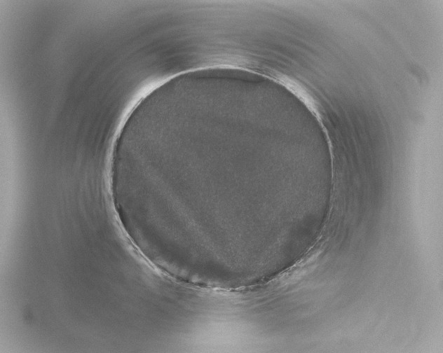 X0000116441104200912221519