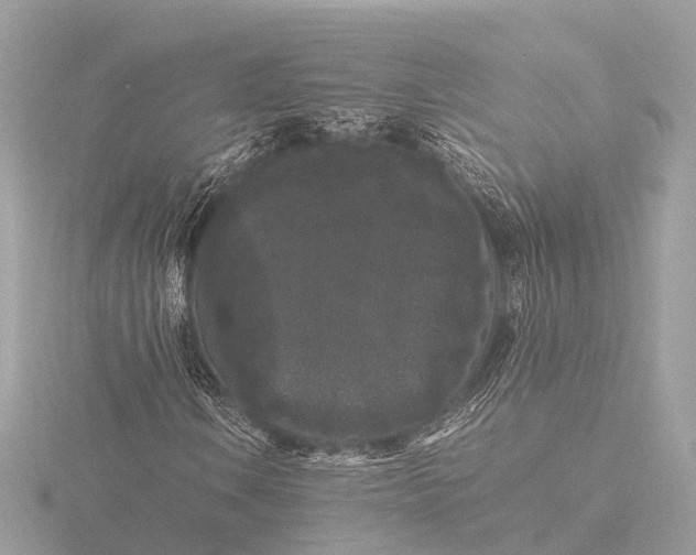 X0000116441106200912221519