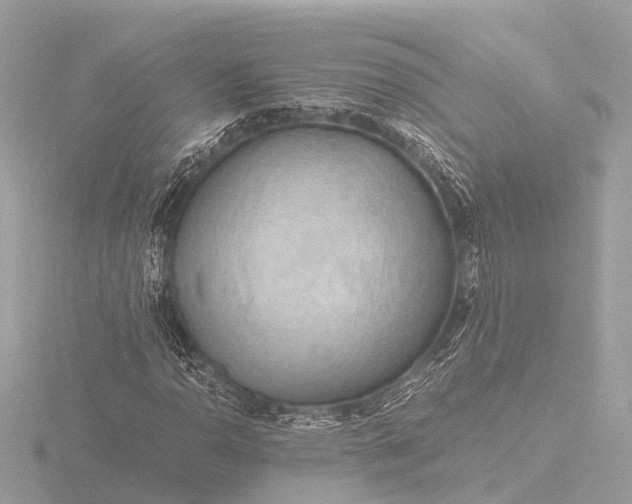X0000116441110200912221519