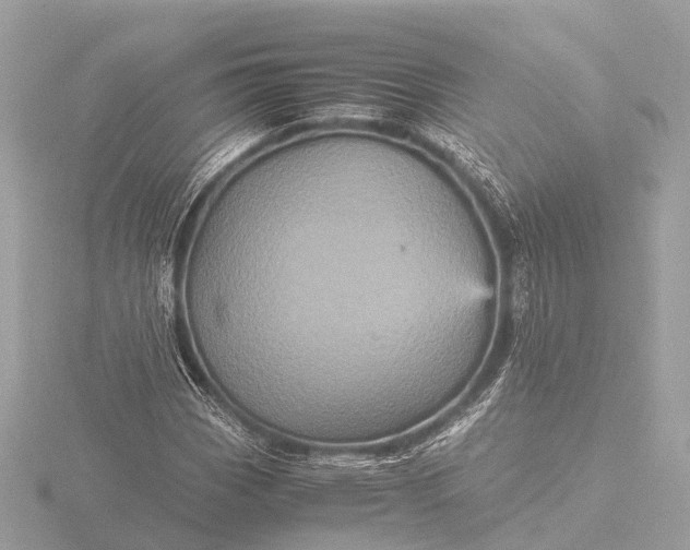 X0000116441113200912221519