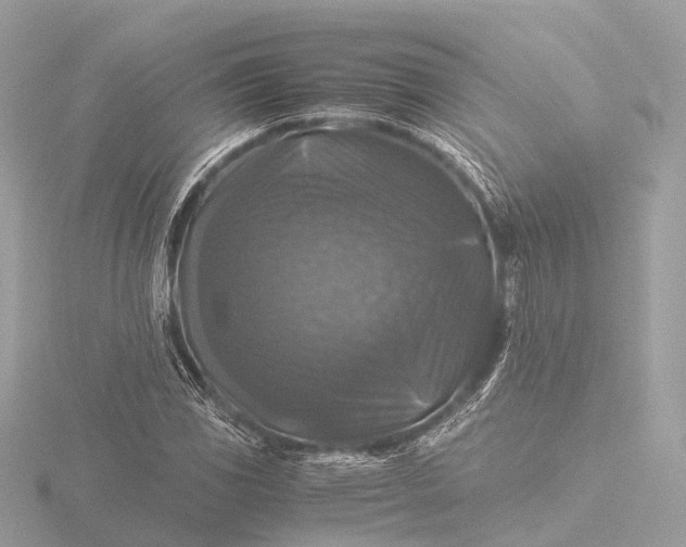 X0000116441117200912221519