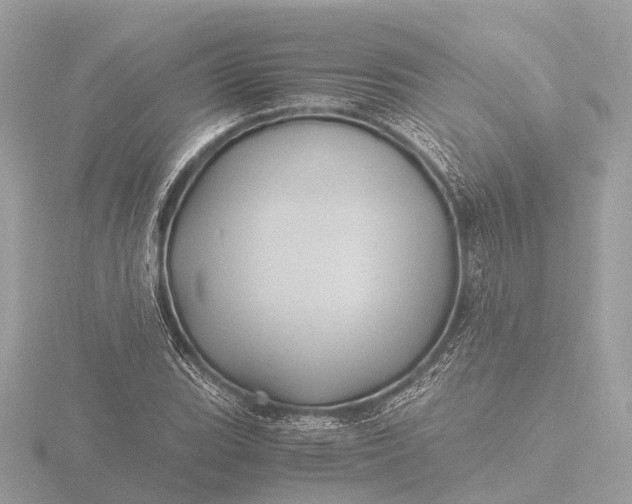 X0000116441119200912221519