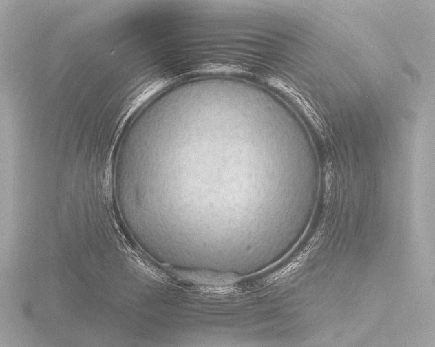 X0000116441129200912221519