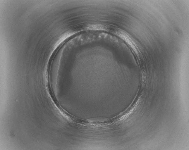X0000116441141200912221519