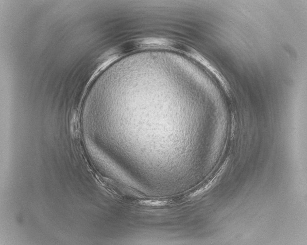 X0000116441145200912221519