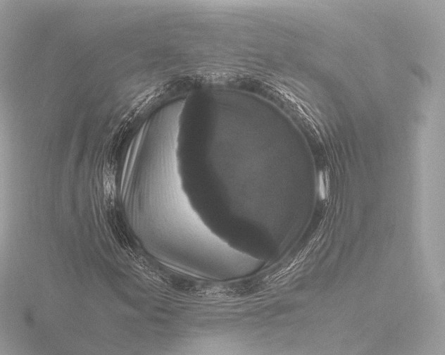 X0000116441155200912221519