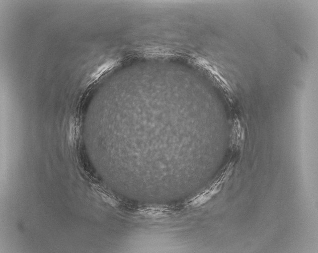 X0000116441157200912221519