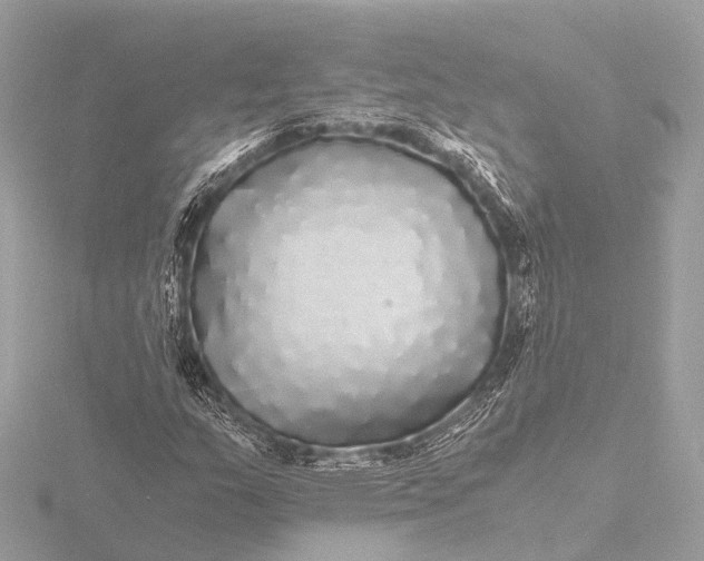 X0000116441159200912221519