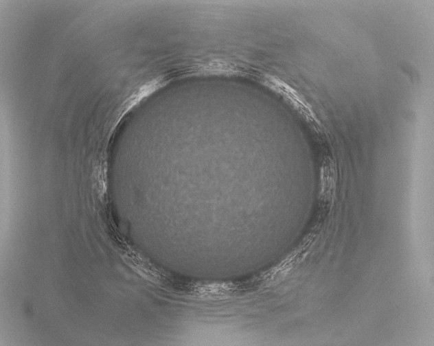X0000116441165200912221519