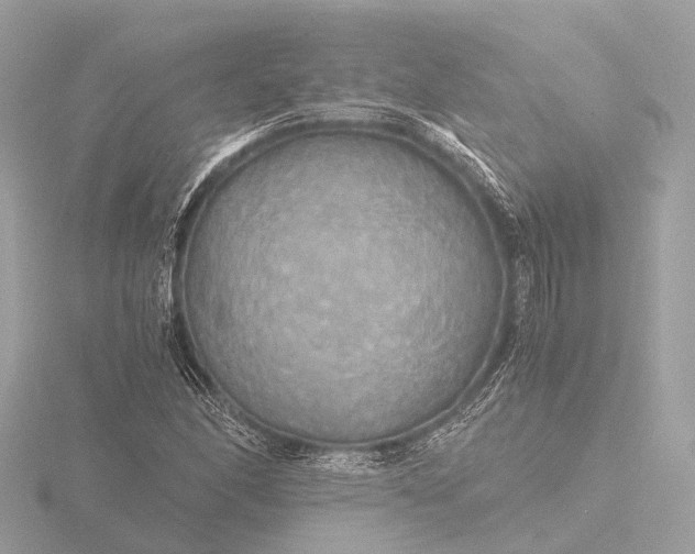 X0000116441166200912221519