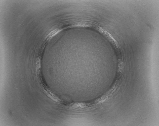 X0000116441169200912221519