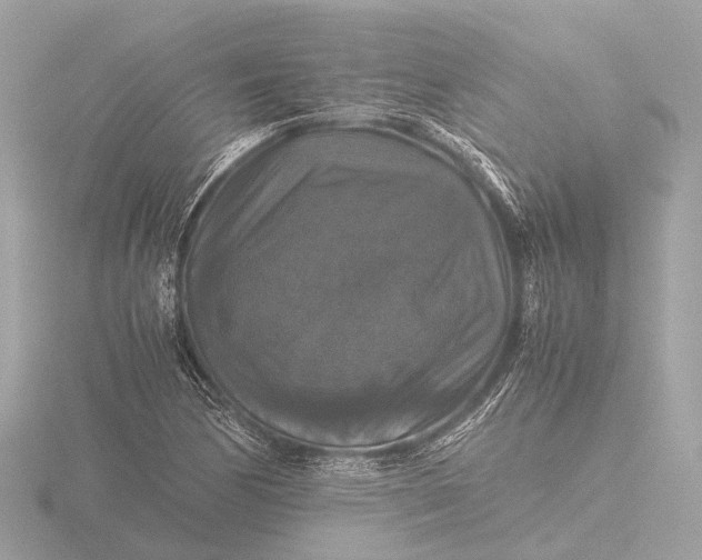 X0000116441170200912221519