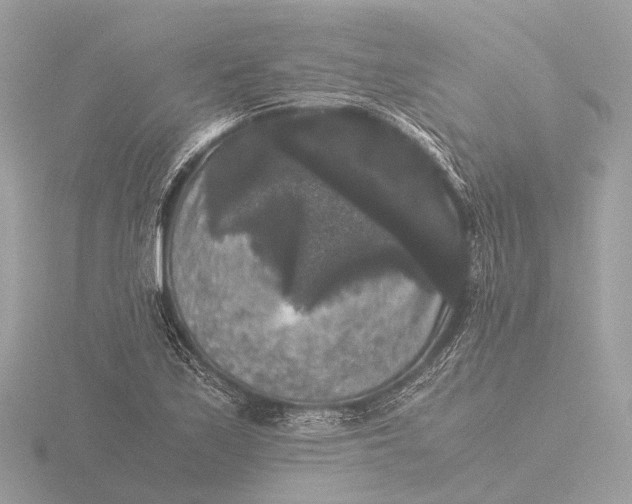 X0000116441171200912221519
