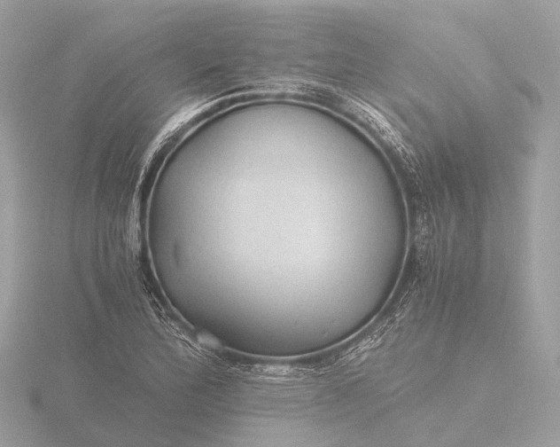 X0000116441172200912221519