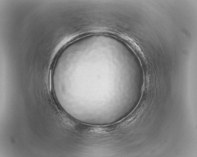 X0000116441175200912221519