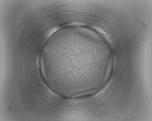 X0000116441177200912221518