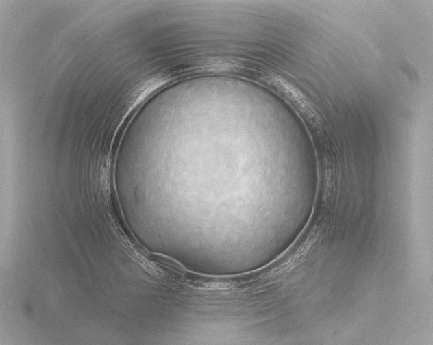 X0000116441178200912221518