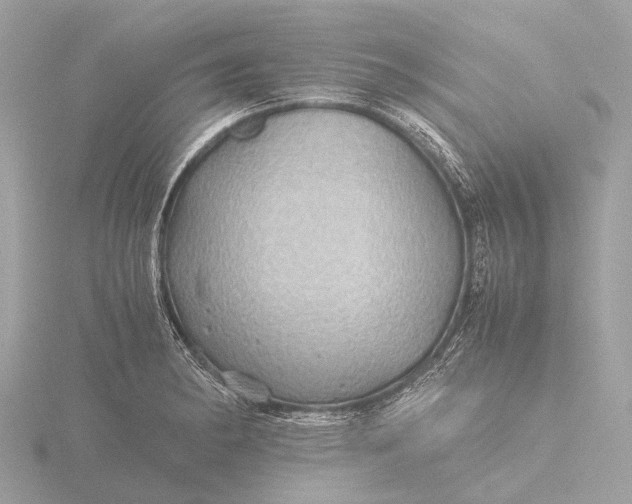 X0000116441182200912221518