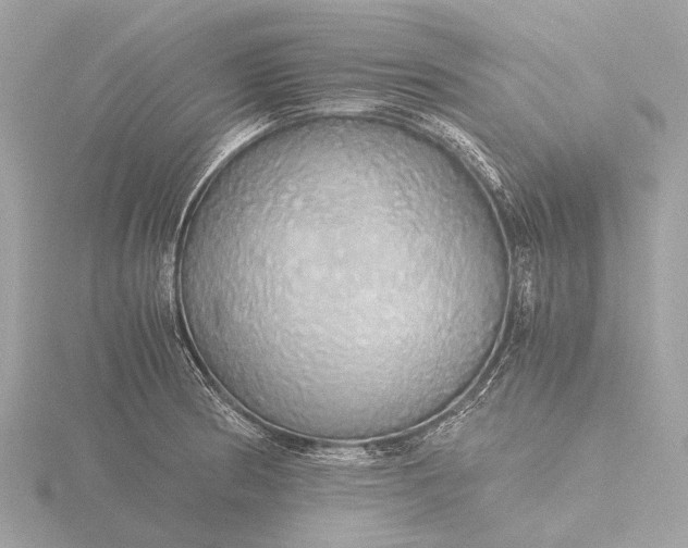 X0000116441186200912221518