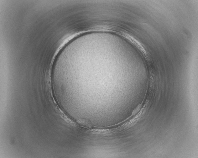 X0000116441192200912221518