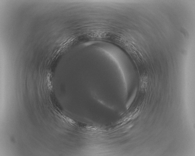 X0000116441202200912221518