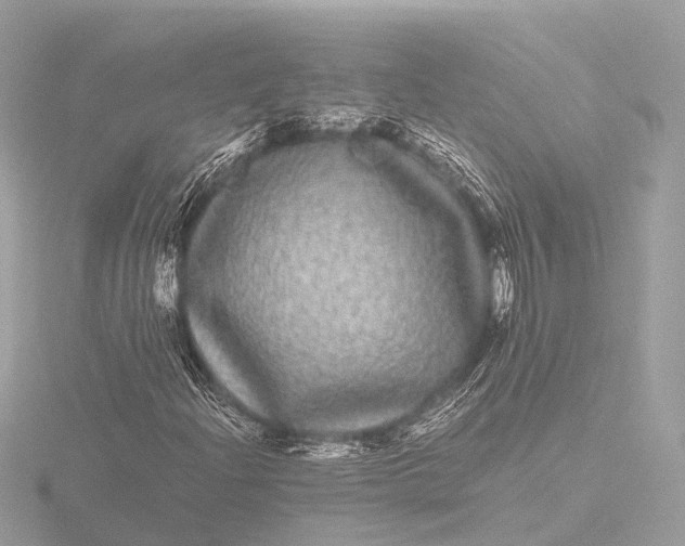 X0000116441204200912221518