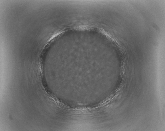X0000116441206200912221518