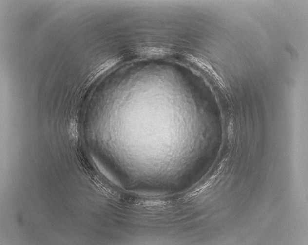 X0000116441209200912221518