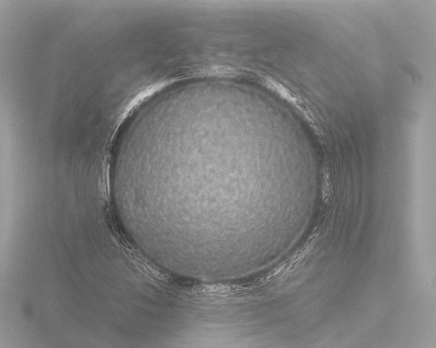 X0000116441214200912221518