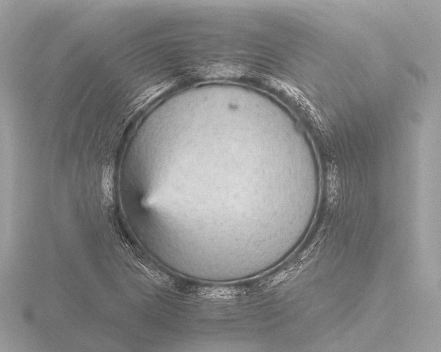 X0000116441217200912221518
