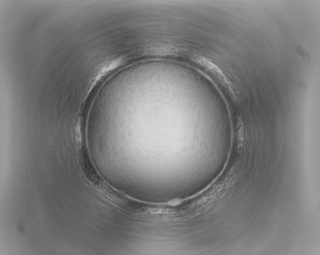 X0000116441218200912221518