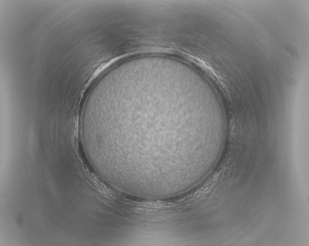 X0000116441220200912221518