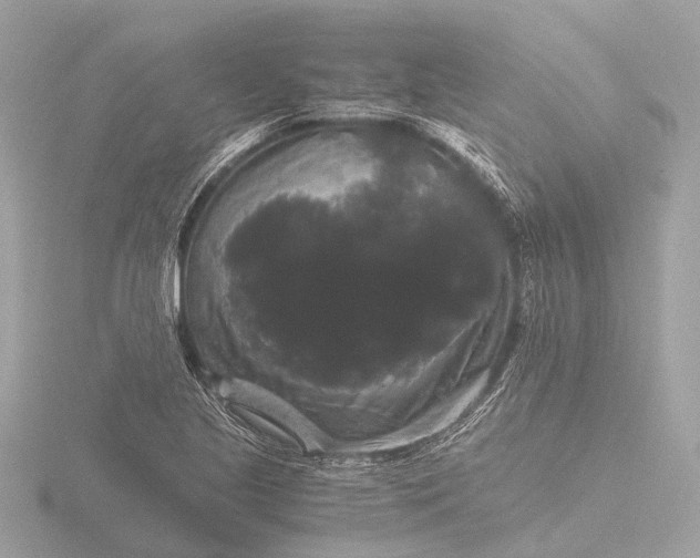 X0000116441221200912221518