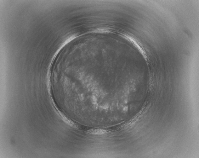 X0000116441235200912221518