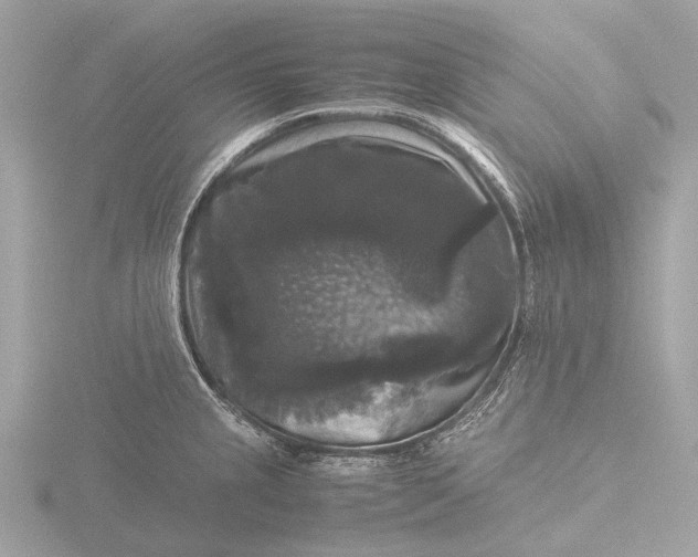 X0000116441237200912221518