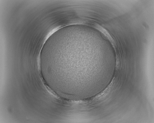 X0000116441242200912221518