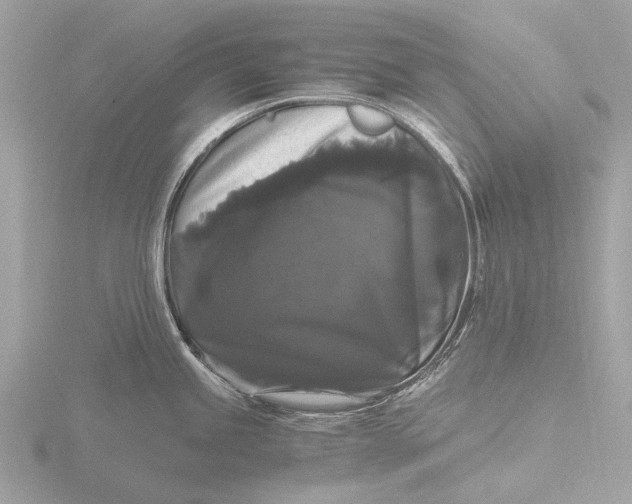 X0000116441245200912221518