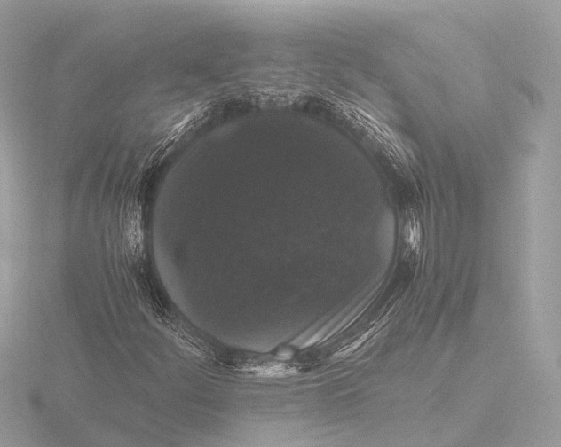 X0000116441252200912221518