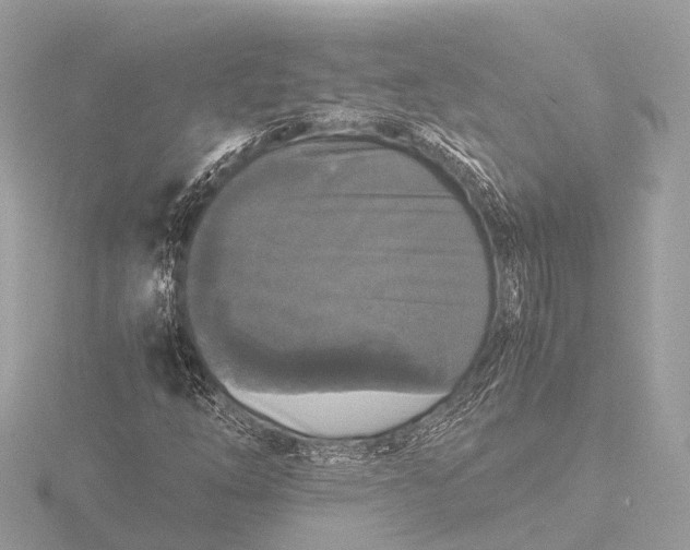 X0000116441254200912221518